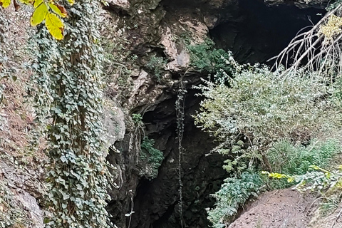 From Bucharest: Eco Trail in Bulgarian Conservation Parks