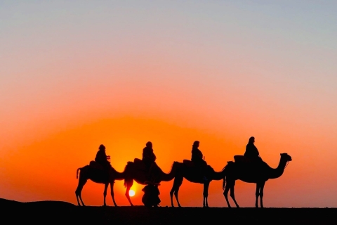 Marrakech: Sunset Camel Ride &Dinner in Agafay Desert Marrakech: Sunset Camel Ride and Dinner in Agafay Desert