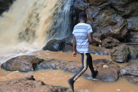 Karura Forest walking tour with nature and waterfalls.
