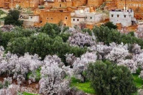 From Marrakech: 3-Day Merzouga Tour with Camel Trek & Luxury Camp Shared Standard Sahara Tour – Popular Choice
