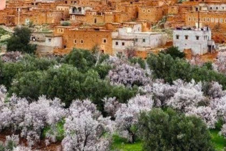 From Marrakech: 3-Day Merzouga Tour with Camel Trek & Luxury Camp Shared Standard Sahara Tour – Popular Choice