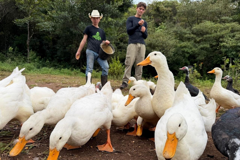 Horseback Ride + Contact Farm in Boquete 2 hours