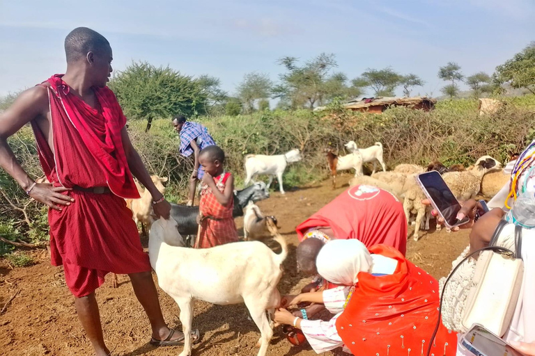 马赛村落：马赛传统文化体验马赛村：马赛传统文化体验