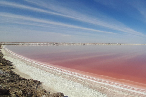 Walvis Bay: Sandboarding & Sandwich Harbour Combo Tour