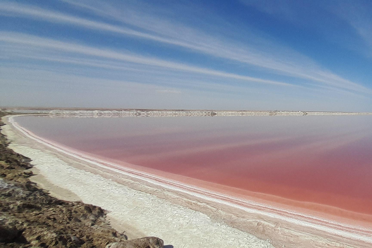 Walvis Bay: Sandboarding & Sandwich Harbour Combo Tour