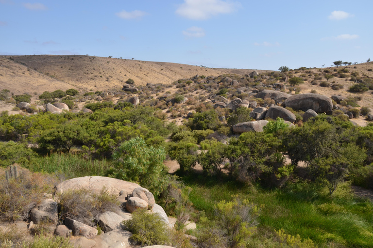 Chile: Das verzauberte Tal der atlantischen Schamanen Zeremonienstätte