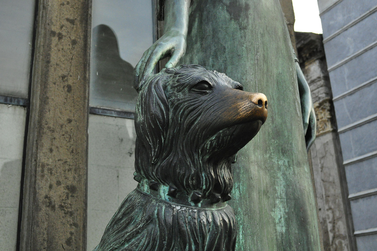 Buenos Aires: Recoleta Cemetery Guided Tour