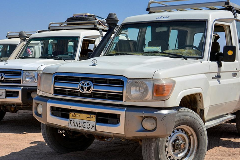 Hurghada: Safari Jeep, Buggy, Camel, Quad, Bedouin Dinner