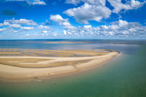 Lowestoft: Scroby Sands Seal Watching Trip Scroby Sands Seal Trip