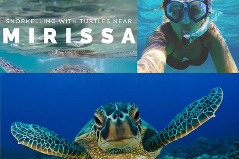 Kalutara To Whale Watching & Snorkeling with Turtles Mirissa