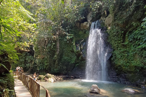 Ubud: Foresta delle scimmie, terrazzamenti di riso e tour delle cascate