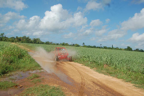 From Bayahibe: Half-day La Romana ATV or 4X4 Buggy Tour