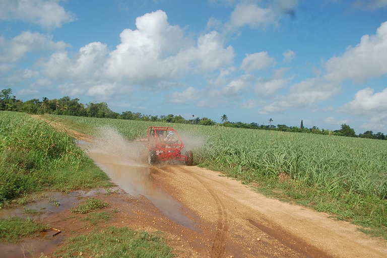 From Bayahibe: Half-day La Romana ATV or 4X4 Buggy Tour