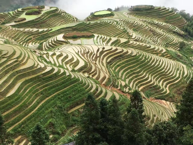 Guilin: Longji Rice Terraces & Minority Villages 2-Day Tour