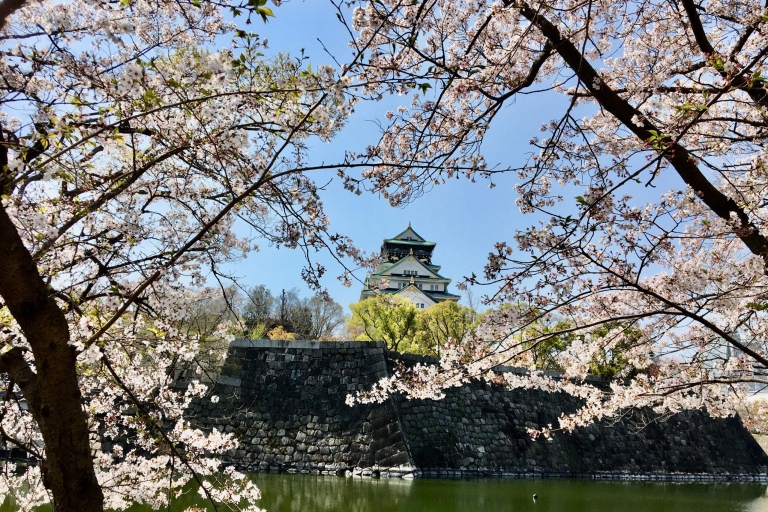 Osaka: Halbtagestour mit privater Führung durch die BurgHalbtägige private geführte Tour zur Burg von Osaka