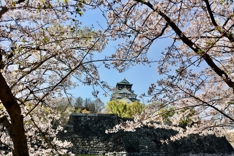 Osaka: En heldags Privat dagsutflykt med guidad stadsvandring i den historiska staden