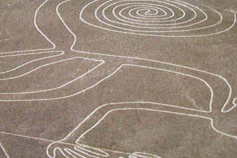 Ab Lima: Tagestour zu den Nazca-Linien und der Oase Huacachina