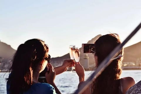 Cape Town: Sunset Sparkling Wine Cruise