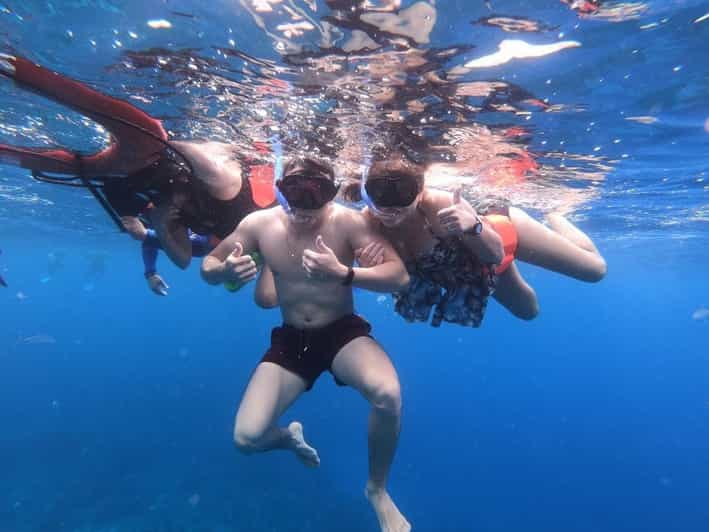 Cozumel: Starfish, Stingrays, and Turtle Bay Snorkeling Tour | GetYourGuide