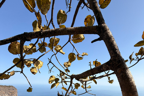 Salalah: Scenic West Coast Cliffs & Shaat Viewpoint