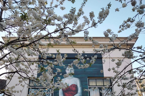 Utrecht: Private Walking Tour with a Local Guide