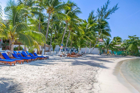 Isla Mujeres: Crucero en catamarán con snorkel, comida y bebidasExcursión desde Costa Mujeres