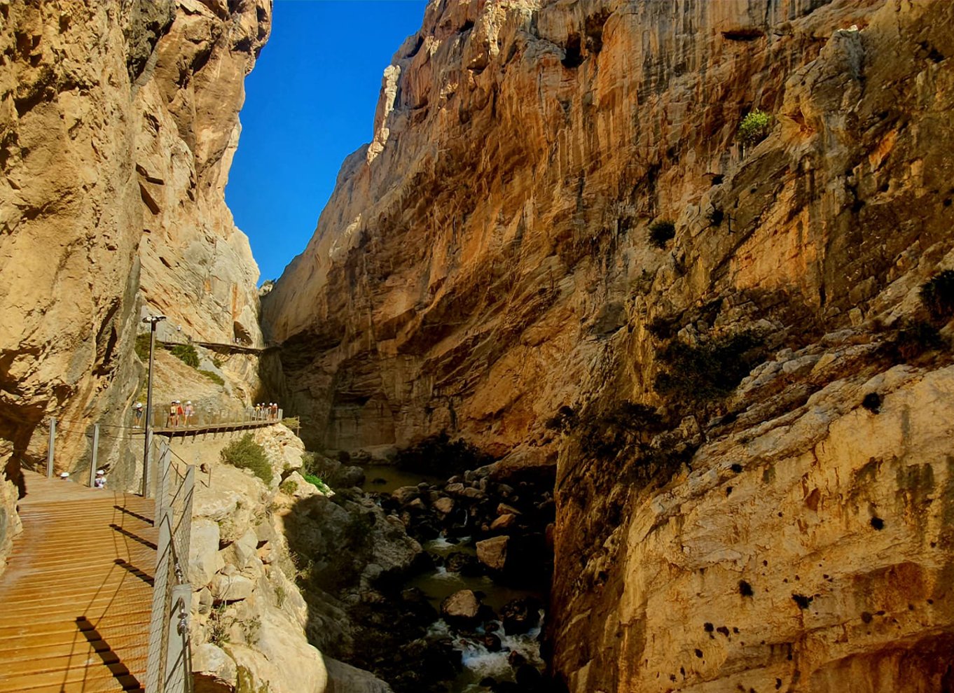 Málaga: Caminito del Rey guidet tur med transport