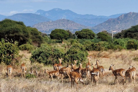 Mombasa/Diani: Taita Hills 2-Day Safari with Meals & Pickup