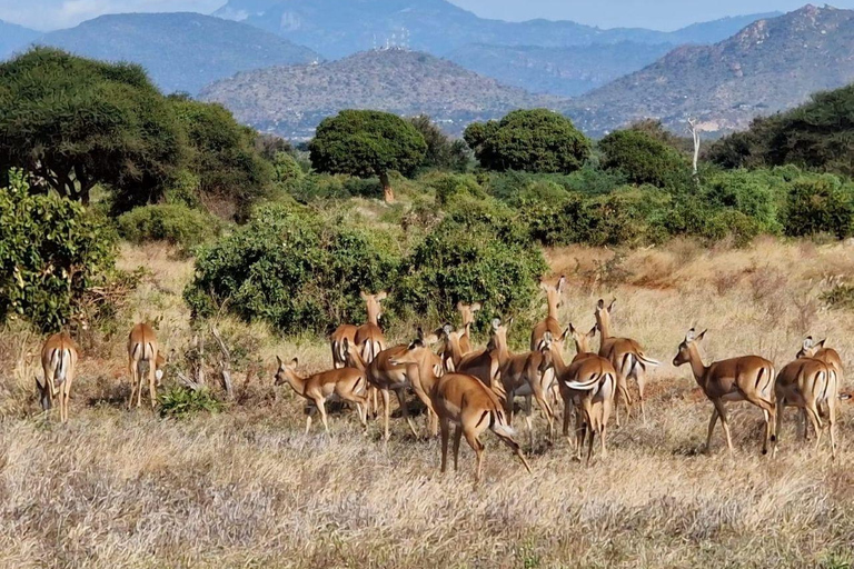 Mombasa/Diani: Taita Hills 2-Day Safari with Meals & Pickup