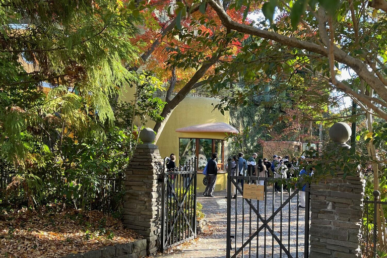 Tokyo: Studio Ghibli Walking Tour with Museum Entry