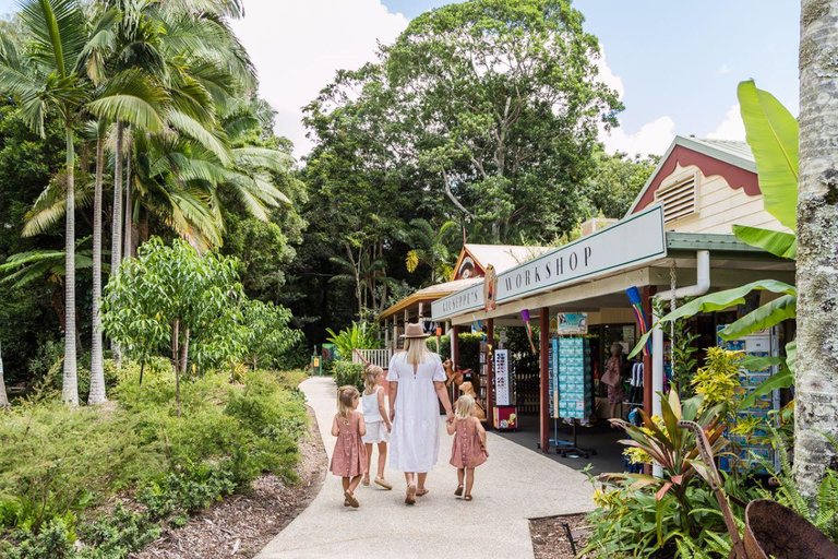 The Sunshine Coast: The Ginger Factory Play All Day