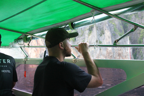 Ko Phi Phi Don: Speedboot dagtrip met snorkelen met haaien