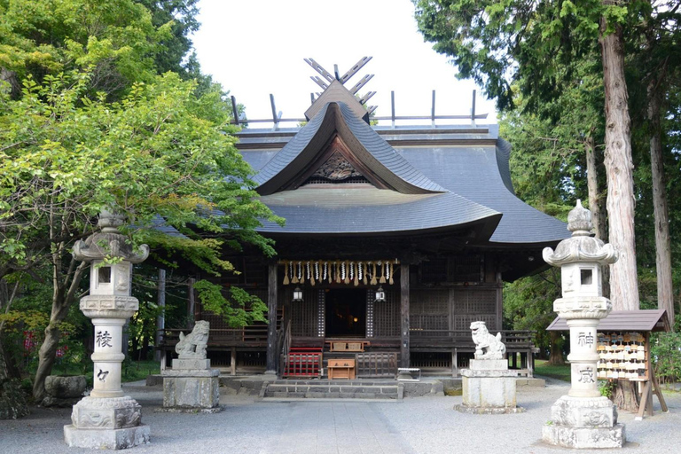 Tokyo: City Full-Day Private Scenic Tour With English Guide