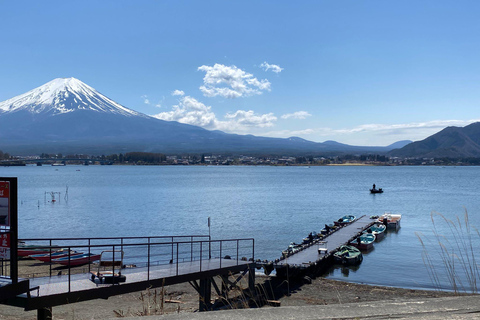 Från Tokyo: Fuji-berget eller Hakone Sightseeing Privat dagstur