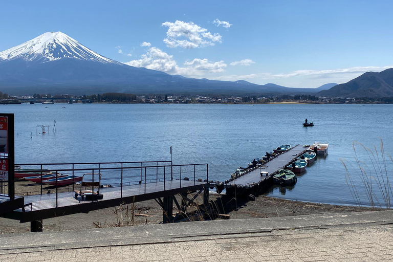 Från Tokyo: Fuji-berget eller Hakone Sightseeing Privat dagstur