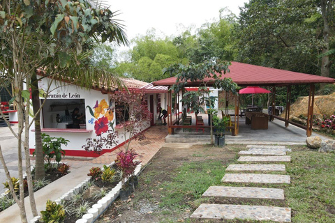 Medellín : Tournée des cafés dans les montagnes