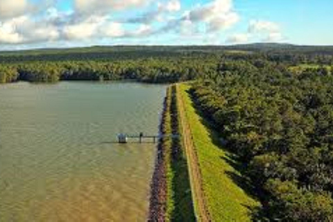 South West Mauritius : Ebony Forest Nature Escape with Lunch Into the Wild South: Ebony Forest Nature Escape with Lunch