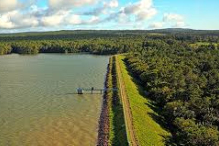 South West Mauritius : Ebony Forest Nature Escape with Lunch Into the Wild South: Ebony Forest Nature Escape with Lunch