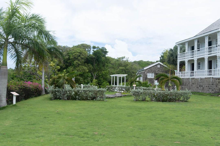 Excursão de meio dia à Basseterre Plantation