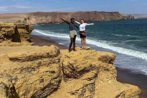 Paracas: Sightseeing Tour of the Ballestas Islands and National Reserve