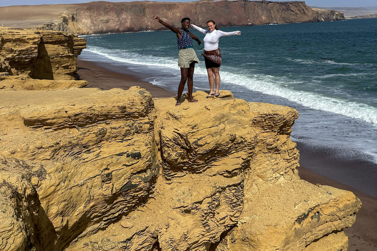 Paracas: Sightseeing Tour of the Ballestas Islands and National Reserve
