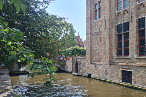 Tour di Bruges attraverso gli occhi di un locale, piccolo gruppo