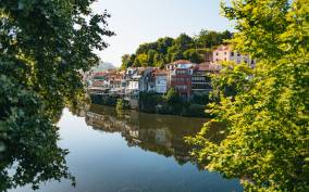 Douro Valley: Wine Tour with Lunch, Tastings & River Cruise
