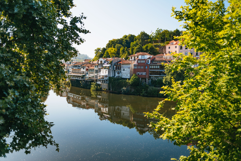 Valle del Duero: tour vinícola, almuerzo y crucero en el ríoSe incluyen traslados de ida y vuelta al hotel