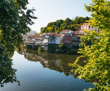 Douro-Tal: Weintour mit Mittagessen, Verkostungen und Flusskreuzfahrt