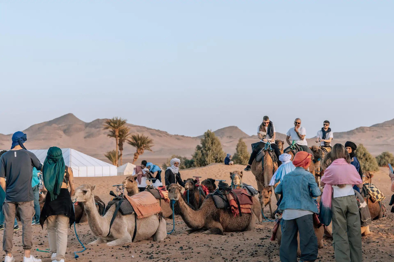 From Marrakech: 2-Day Zagora Desert & Ait Ben Haddou Tour