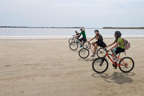 Larnaca: Salt Lake & Cultural Highlights Guided Bike Tour