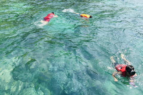 Da Nang: Ilha Cham: mergulho com snorkel e passeio turístico