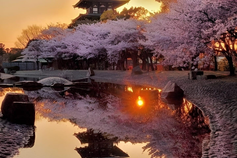 Heldags privat dagsutflykt till Kyoto med engelsktalande chaufförKyoto heldags privat dagsutflykt med engelsktalande chaufför