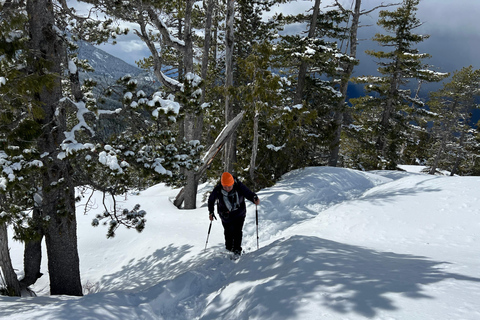 Snowshoeing At The Top Of The Sea To Sky Gondola